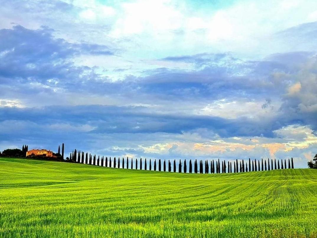 Affittacamere Alba Fiorita Castiglione dʼOrcia Extérieur photo