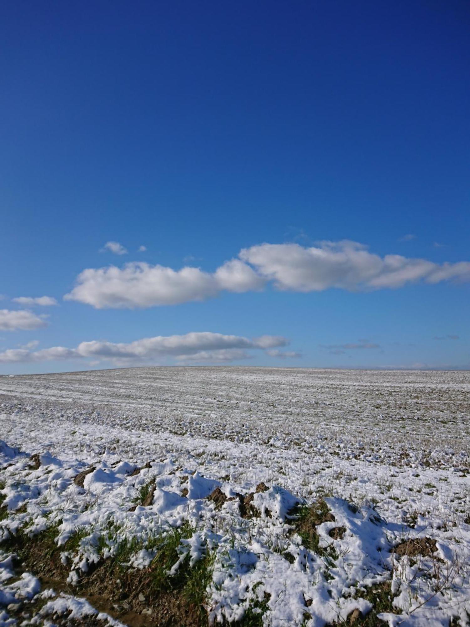 Affittacamere Alba Fiorita Castiglione dʼOrcia Extérieur photo